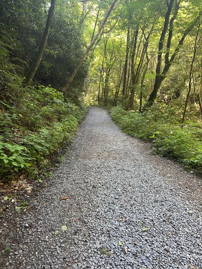 View Waterfall in new tab