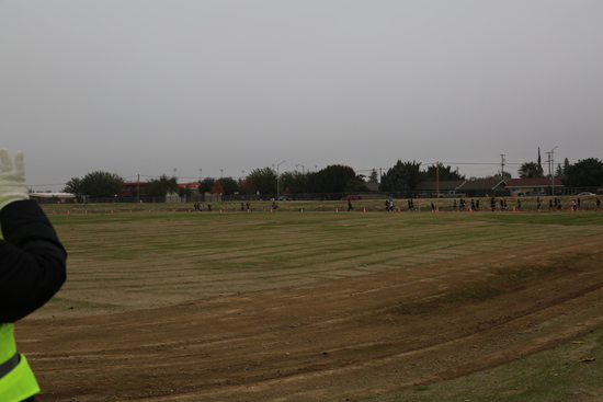 View On the course in new tab