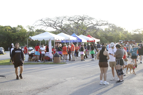 View images for website in new tab