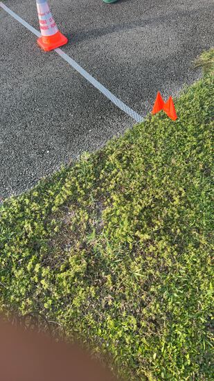 View Shakiya in new tab