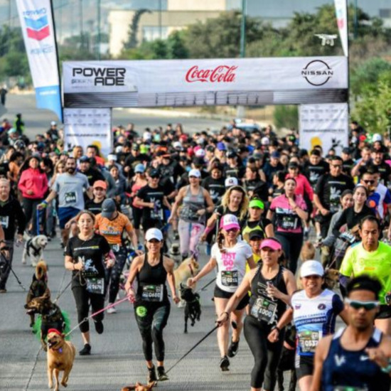 View Start Line in new tab