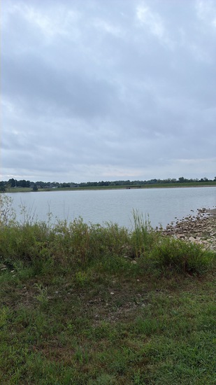 View 5k day 2026 in new tab