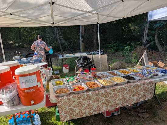 View Southern Chicken Fried 2025 in new tab