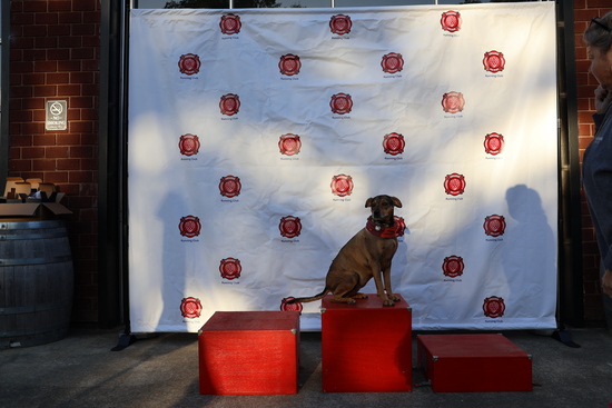 View Race Day Photos 10/04/25 in new tab