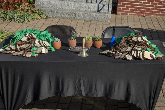 View 2025 Cancer Can Suck a Cactus in new tab