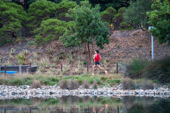 View Race photos in new tab