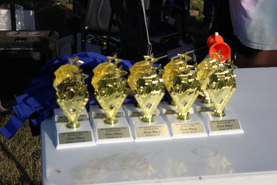 View Mansfield 5K Run & Walk in new tab