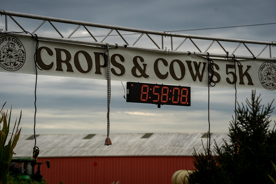 View Crops & Cows 5K in new tab