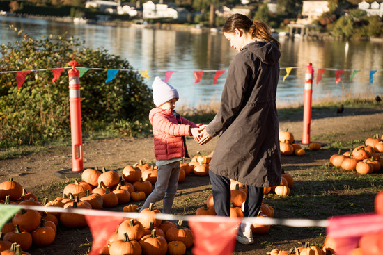 View Pumkin Spice Run 2026 in new tab