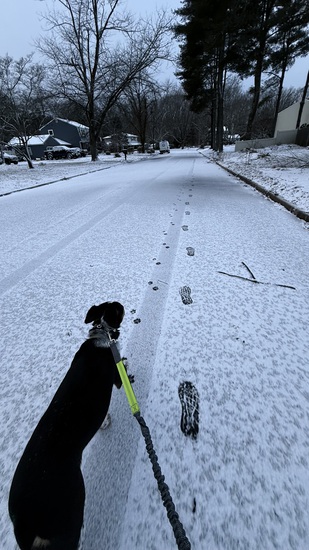 View photos in new tab