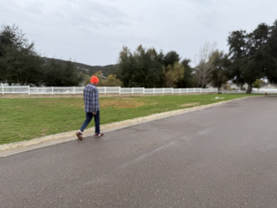 View photos in new tab