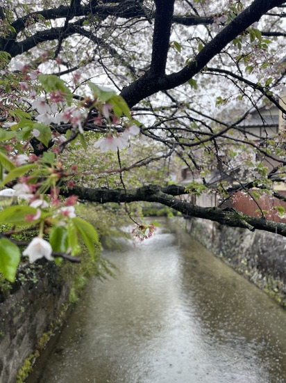 View photos in new tab