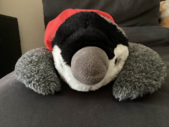 View photos in new tab