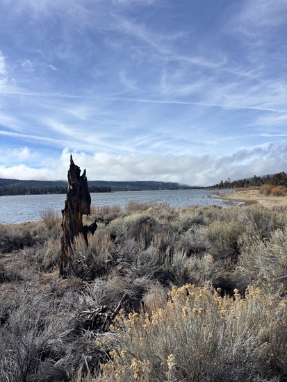 View photos in new tab