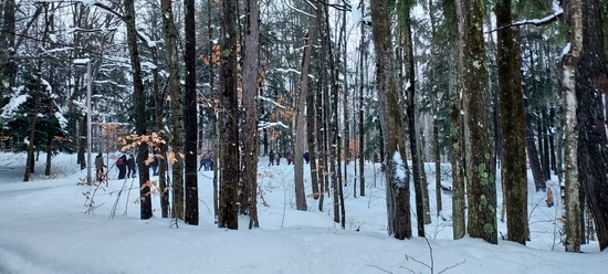 View photos in new tab