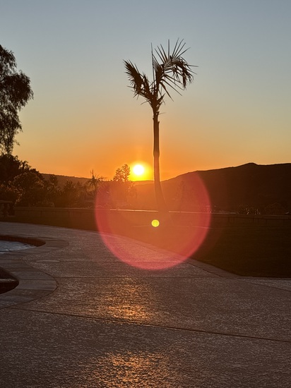 View photos in new tab