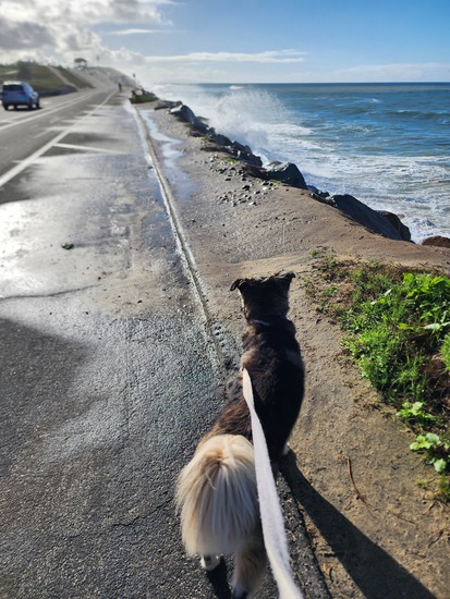 View photos in new tab