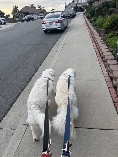 View photos in new tab