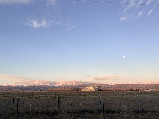 View photos in new tab