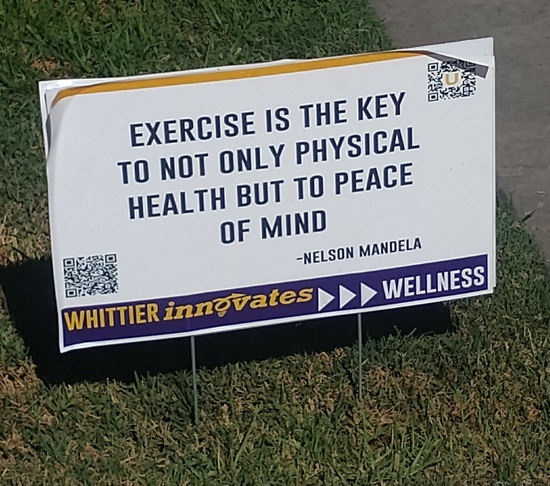 View photos in new tab