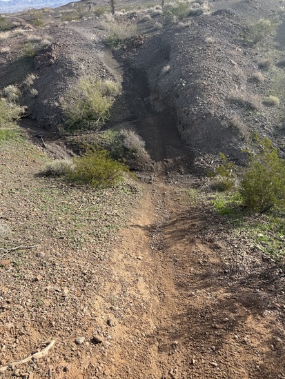 View photos in new tab