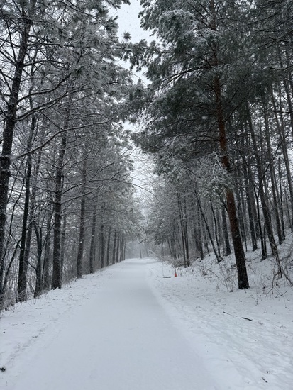 View photos in new tab