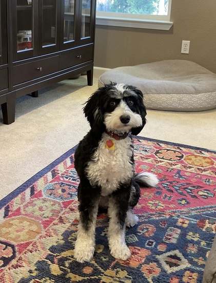 View photos in new tab