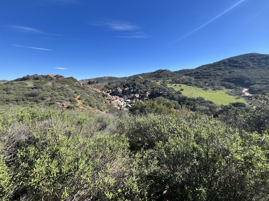 View photos in new tab