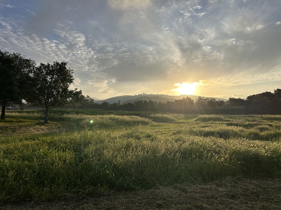 View photos in new tab