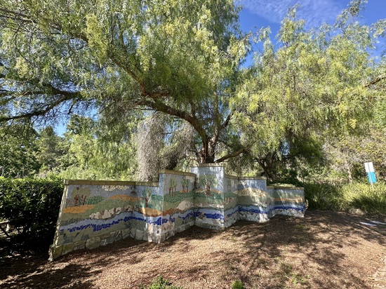 View photos in new tab