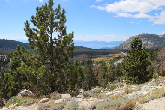 View Mt Rose Hill Climb in new tab