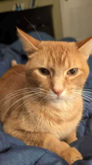 View Amanda in new tab