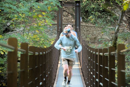 View Bridge Crossing in new tab