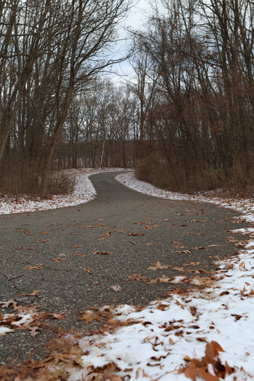 View 2025 Photos in new tab