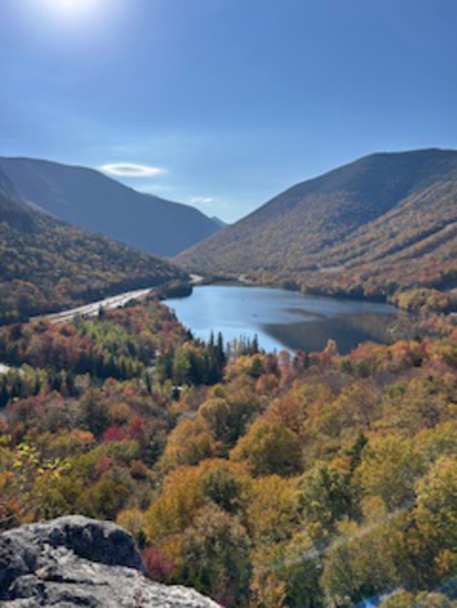 View photos in new tab