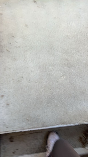 View Shannon in new tab