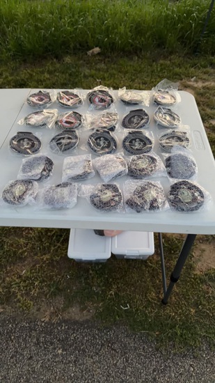 View Sarah in new tab