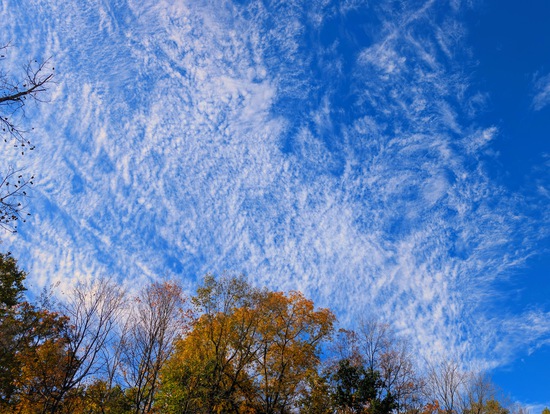 View Race in new tab