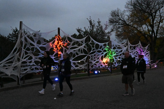 View Spiderweb AutoCam in new tab