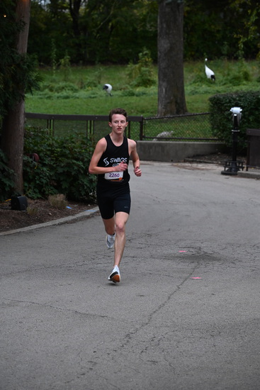 View Princess Passage in new tab