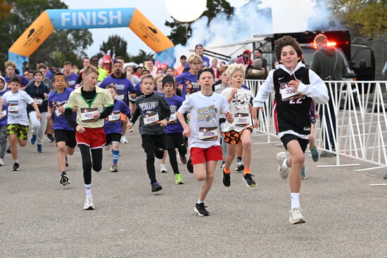 View Roaming Photographer in new tab