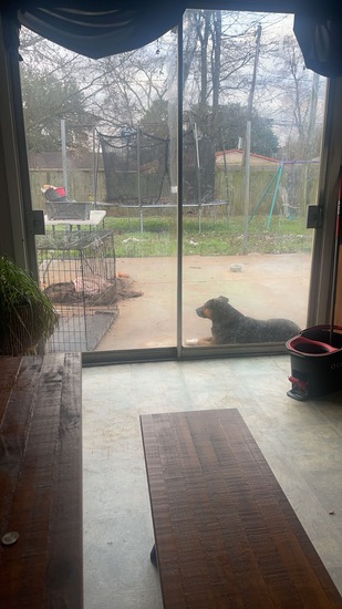 View Mattie in new tab