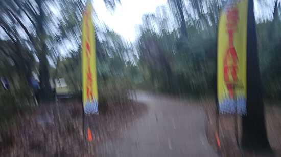 View Monica in new tab