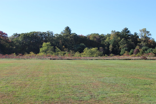 View Start Line in new tab