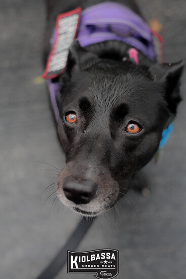 View Start/Finish Line in new tab