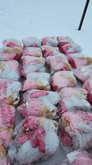 View Finish line in new tab