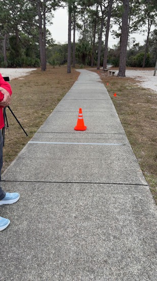 View Stephanie in new tab