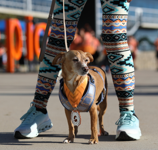 View Finish Line in new tab