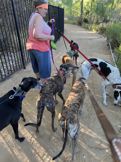 View photos in new tab