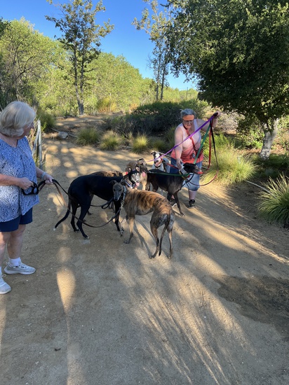 Participant Upload Image